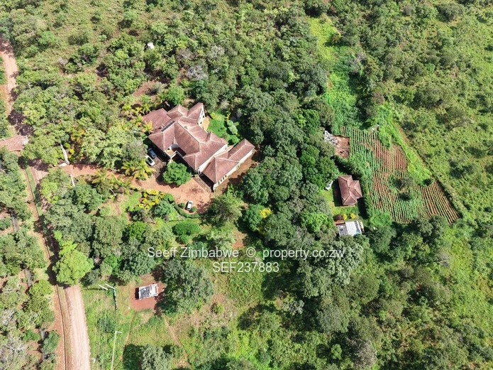 Exclusive 4000 sqm Panhandle Stand #2 for Sale in Shawasha (Sole Mandate)