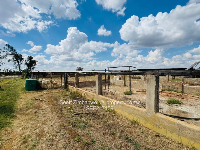 Prime Multi-Purpose Plot | Knowe, Norton (Sole Mandate)