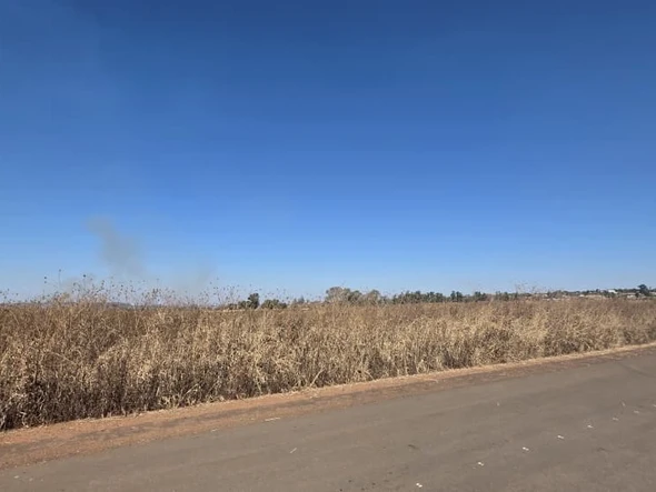 Commercial & Industrial Land