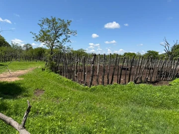 Farm & Agricultural Land