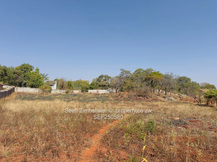 Prime Vacant Land Opportunity in Mandara