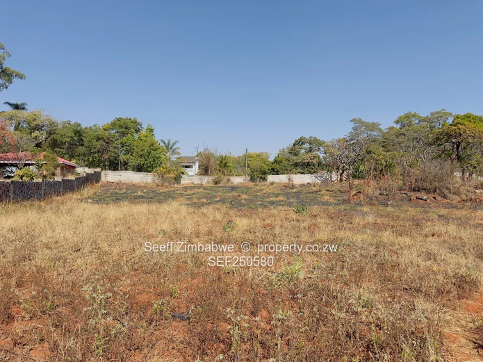 Prime Vacant Land Opportunity in Mandara
