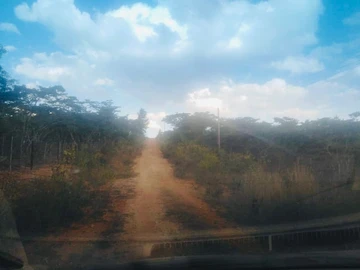 Farm & Agricultural Land