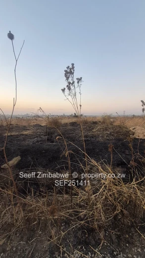 200m² Serviced Stand, Southview Park 