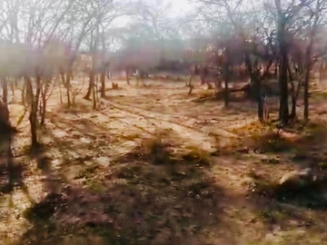 Farm & Agricultural Land