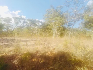 Farm & Agricultural Land