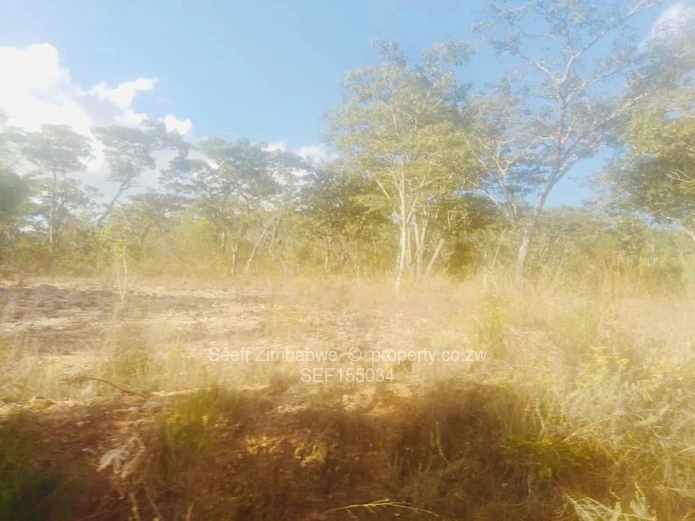 Experience The Nyanga Lifestyle, In Nature's Luxury (Sole Mandate)