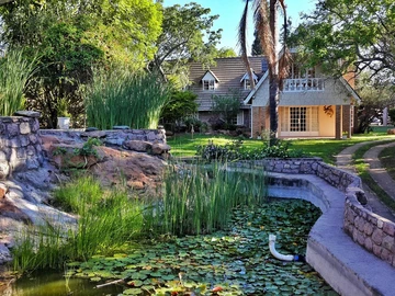 House To Rent