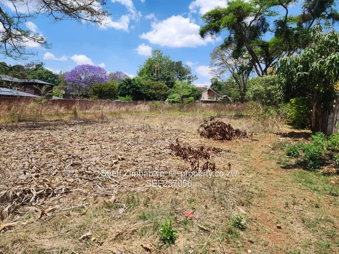 Rare Prime Find: Build Your Dream Home in Affluent Glen Lorne