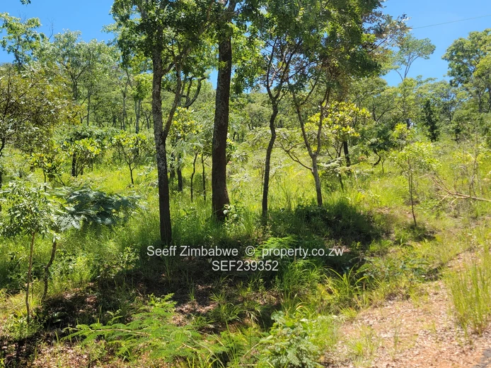 Commercial Land For Sale