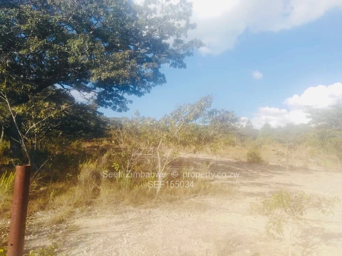 Experience The Nyanga Lifestyle, In Nature's Luxury (Sole Mandate)
