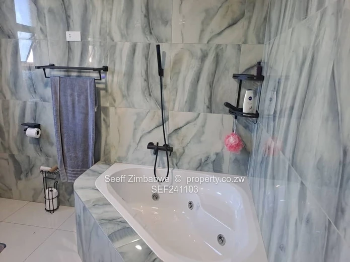 Stylish 4-Bed, 3-Bath Arlington Home w/ Pool & Borehole