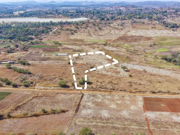 Farm & Agricultural Land
