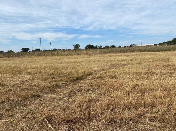 Land