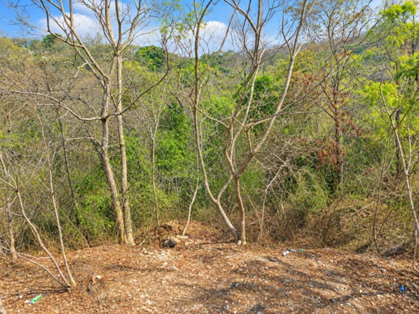 Land