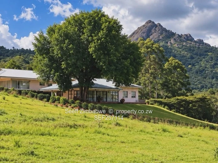Fully Furnished Nyanga Retreat for Sale- 6188m²  Plot with House