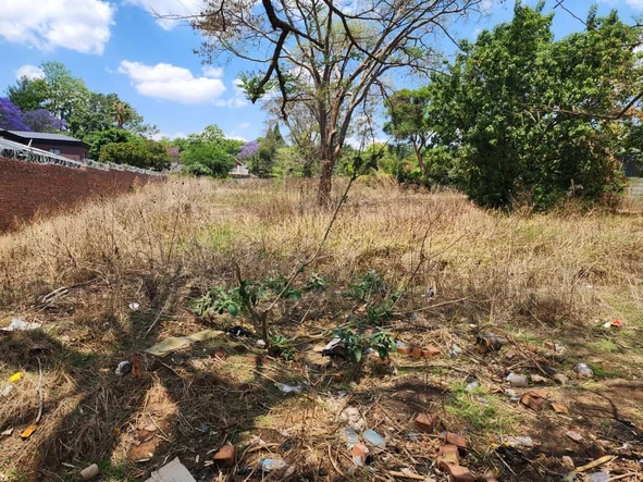 Stands & Residential Land
