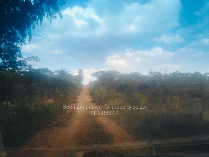 Experience The Nyanga Lifestyle, In Nature's Luxury (Sole Mandate)