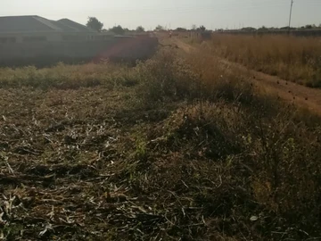 Land