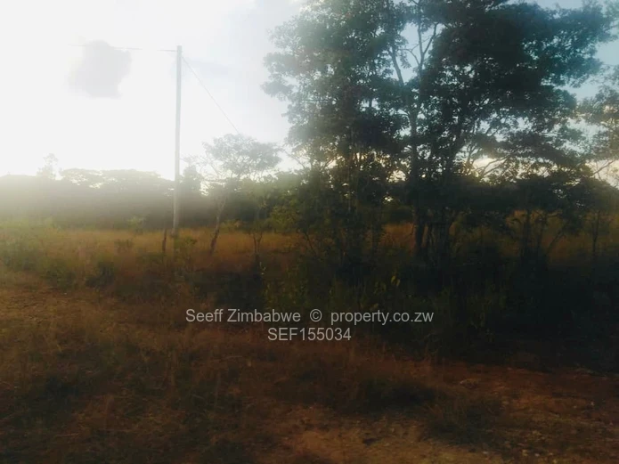 Experience The Nyanga Lifestyle, In Nature's Luxury (Sole Mandate)