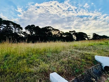 Land