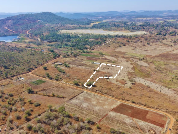 Farm & Agricultural Land