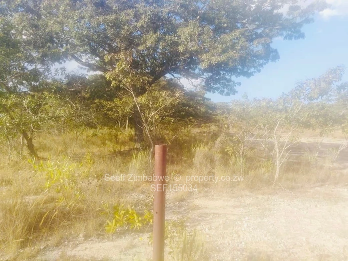 Experience The Nyanga Lifestyle, In Nature's Luxury (Sole Mandate)
