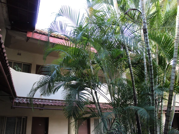 Commercial Property
