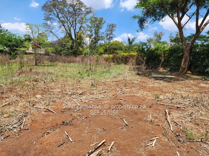 Rare Prime Find: Build Your Dream Home in Affluent Glen Lorne