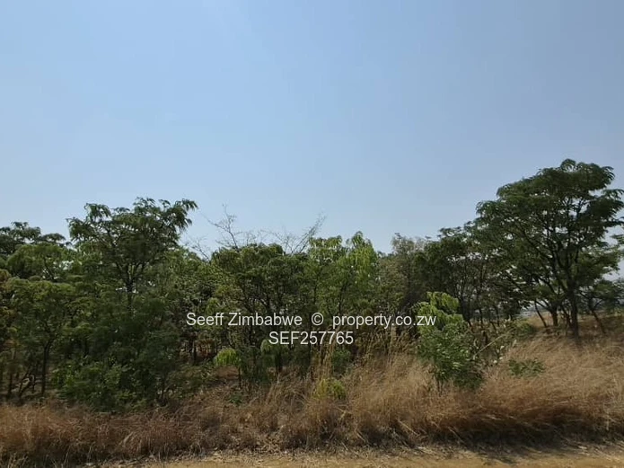 4800 m² Stand in Galloway — Norton with a deed