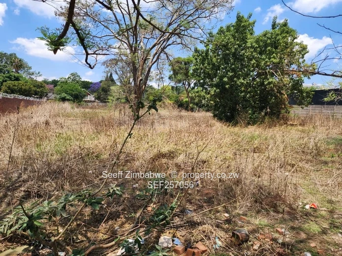 Rare Prime Find: Build Your Dream Home in Affluent Glen Lorne
