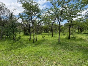 Farm & Agricultural Land