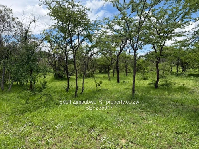 2240 Hectare Farm
