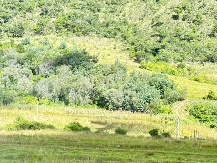 Nyanga 5,547 m² — Rolling Valley Plot with Mountain Views