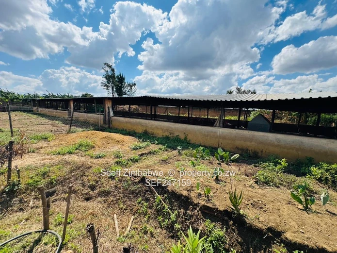 Prime Multi-Purpose Plot | Knowe, Norton (Sole Mandate)