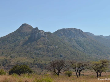 Serene 3ha Nyanga Plot: Ideal for Holiday Cottages or Agriculture