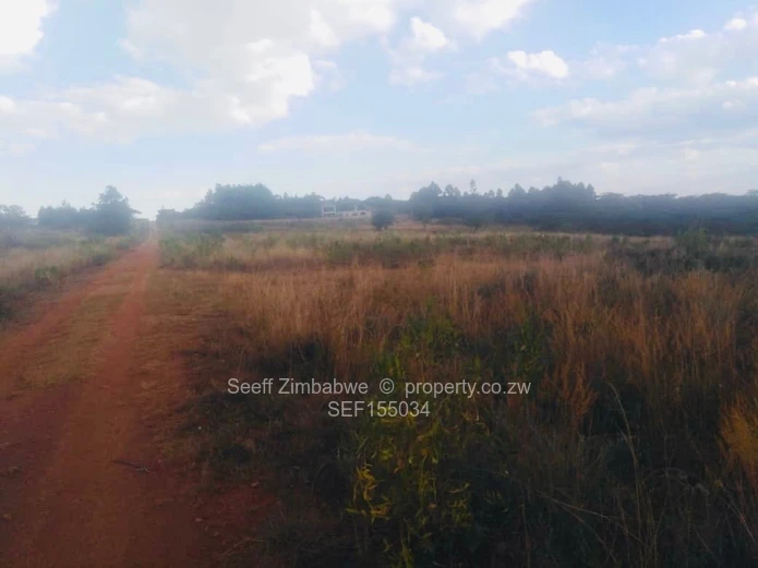 Experience The Nyanga Lifestyle, In Nature's Luxury (Sole Mandate)