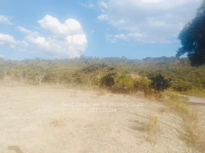 Experience The Nyanga Lifestyle, In Nature's Luxury (Sole Mandate)
