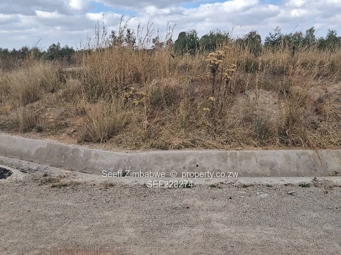 A choice of 4 residential vacant stands is available 
