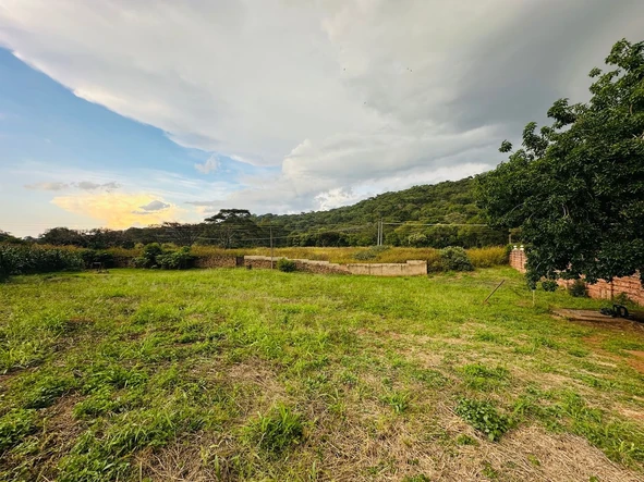 Cluster Stand for Sale In GREYSTONE PARK