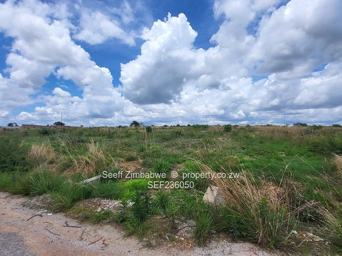 St Ives Chinhoyi