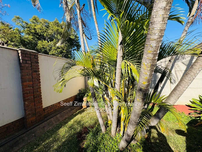 Stylish 2 Bedroom Garden Apartment in Prime Kensington (Sole Mandate)