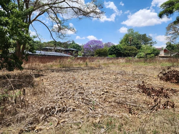 Stands & Residential Land