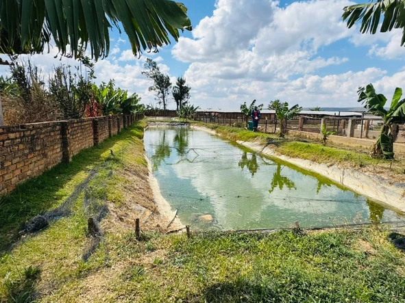 Farm & Agricultural Land