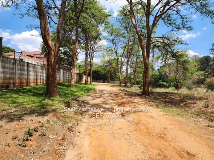 Rare Prime Find: Build Your Dream Home in Affluent Glen Lorne