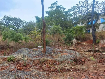 Land