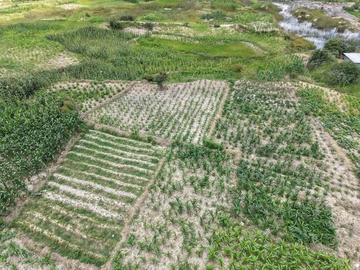 Commercial & Industrial Land
