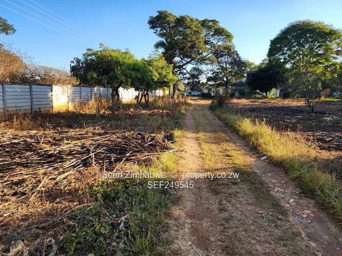 Prestigious Windmill Lane: Premier 2825 sqm Subdivision Stand with Income Cottage