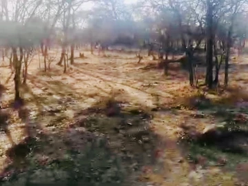 Farm & Agricultural Land