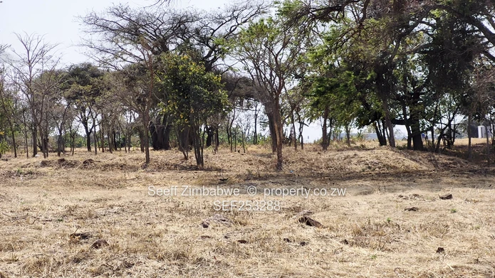 Borrowdale North 2,894 sqm residential vacant stand forsale  (Sole Mandate)
